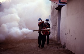 Insect extermination in the Maldives, Maldives, Indian Ocean, Meemu Atoll