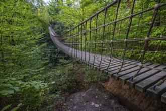 Wooden suspension bridge over a gorge, beautiful nature and trees in the Hunsrück, Germany