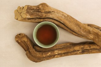 Traditional medicine Ayahuasca. Banisteriopsis caapi wood pieces. Medical natural psychedelics,