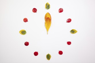 Autumn Time - Clock of autumn leafs