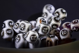 Black and white lottery balls in a bingo machine. Lottery balls in a sphere in motion. Gambling