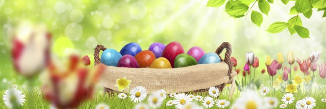 Easter eggs in a basket
