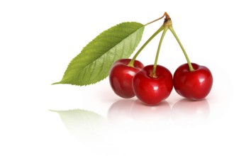 Fruit 694