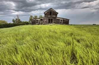 Abandoned Prairie House rural Saskatchewan Canada Summer