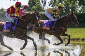 04.06.2023 Wroclaw, Ladies Day WROCLAW, POLAND - JUNE 4, 2023: Racecourse WTWK Partynice.