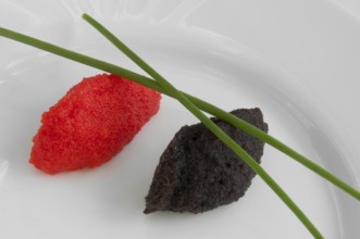 Black and red caviar decorated in dish