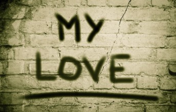 My Love Concept