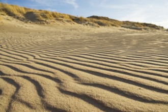 Pattern in the sand at the beach
