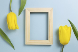 Wooden photo frame with yellow tulip flowers on blue background. top view, copy space