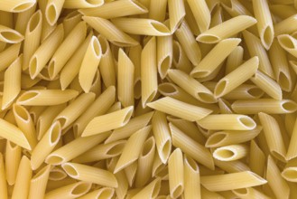 Extreme close up of uncooked italian penne pasta background