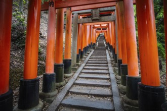 Red Tori Gate at Fushimi Inari Shrine in Kyoto, Japan. One of the largest tourist attractions in
