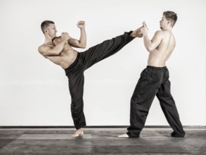 An image of two fighting sports men