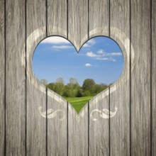 An image of a beautiful wooden heart nature