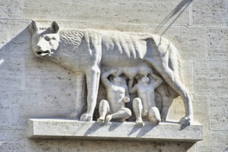 Lion statue in front of cathedral in rome italy, photo as a background, digital image