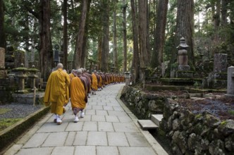 Buddhist monks walking to a temple in Koya-san, Japan, Koya-san, Japan