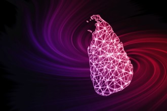 Map of Sri Lanka, Polygonal mesh line map, modern map
