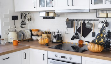 Decor of the white classic kitchen with pumpkins for Halloween and harvest. Autumn mood in the home