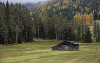 Abandoned wooden farm house in the farmland surrounded by forest trees in autumn. Italian alps,
