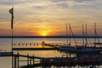 Landscape in Springtime at the Dümmer lake in Germany at sunset