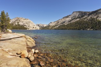 Magnificent huge lake on pass Tioga in Yellowstone national park