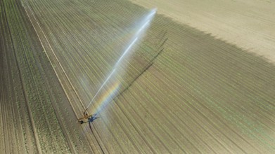 Irrigation equipment watering field. Aerial view. Irrigation of a young plants