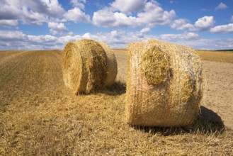 Rolls of hay in the field against the background of a beautiful sky