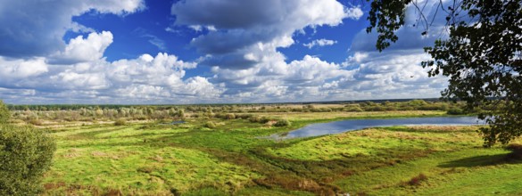 Panorama of autumn meadow