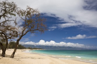 Beach at Kanaha Beach Park, Maui, Hawaii, USA