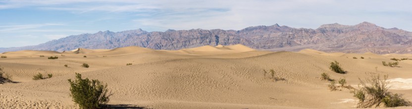 Scenic Mesquite Flat Sand Dunes in the Death Valley, USA