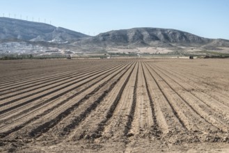 Plowed land. Sunny day