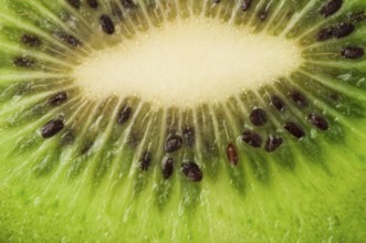 Kiwi fruit close up background. Cut kiwi fruit
