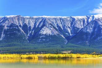 In the famous artificial Abraham lake reflects the golden foliage of aspen and birches. Glowing