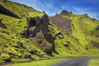 The summer blossoming Iceland. Canyon Pakgil - green grass and moss on freakish rocks