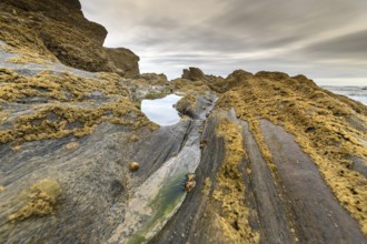 Rocks at low tide on the French Atlantic coast in France