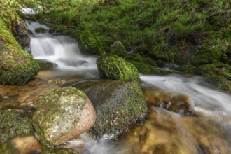 Mountain torrent in the Vosges. Charlemagne waterfall on the Vologne