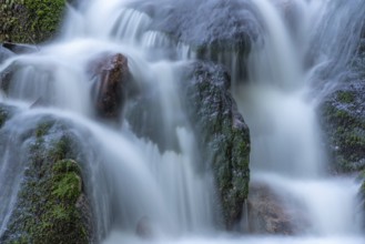 Fresh and beautiful waterfalls in a mountain torrent in spring. La Serva, Champ du feu, Vosges,