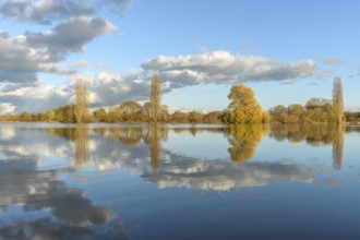 Flooded meadow after heavy rains. Autumn landscape. Bas-Rhin, Collectivite europeenne d'Alsace,
