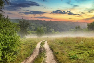 Misty morning over country road in forest