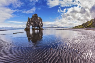 Stone mammoth Iceland. The picturesque cliff in Bay of Hoonah during low tide at sunset