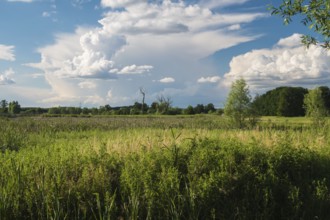 Landscape near Rogeez, Mecklenburg-Western Pomerania