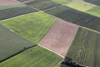 Fields from a bird's eye view