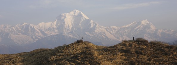 Dhaulagiri on a spring morning, view from Muldai View Point