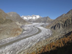 Autumn Scenery At The Aletsch Glacier