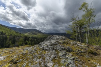 Mountain landscape in spring in the Vosges in France