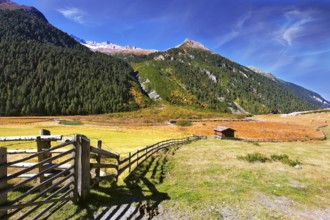 The beautiful autumn day in the Austrian Alps. Farmers alpine meadows blocked by low wooden fences