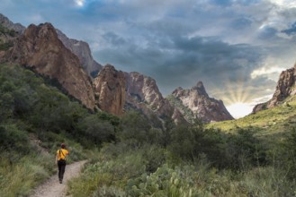 A hiker walking thtough the mountains of Big Bend National Park, USA