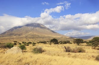 Ol Doinyo Lengai Mountain in the Savannah of Tanzania, East Africa, Lake Natron, Tanzania