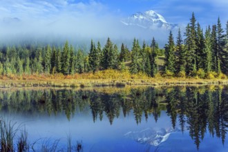 Wonderful landscape. The blue water of the Patricia Lake reflects the snowy peak of the Pyramid