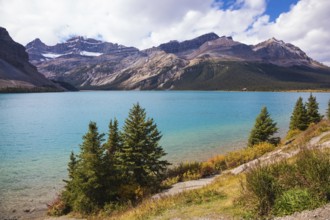 Gorgeous sunny day at Bow Lake, Canadian Rockies. The lake is surrounded by rocks and pine trees