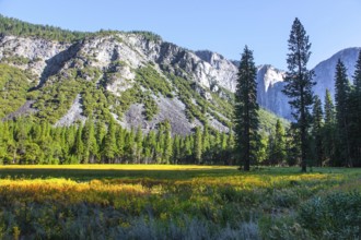The monolithic rock El Capitan and majestic mountains surround the Yosemite Valley. The picturesque